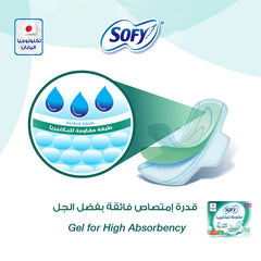 SOFY sanitary pads large with wings showing gel core absorbency diagram and packaging box with 52 pads