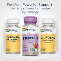 Solaray supplement trio with Berberine capsules for glucose metabolism 500 mg bottle flanked by chromium supplements