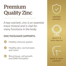 Premium Quality Zinc infographic panel with shield, immune support, and icons