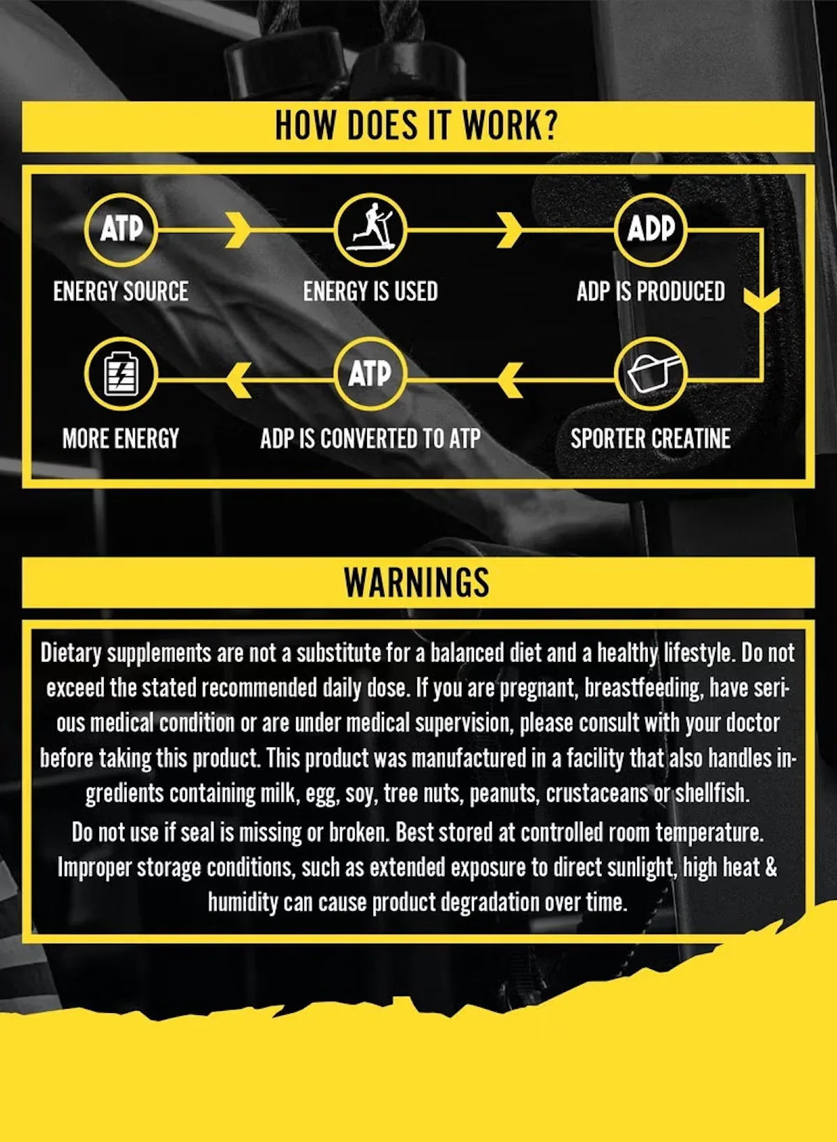 Sporter Creatine Monohydrate Powder – 400g | Micronized & Pure Creatine for Muscle Growth, Strength & Recovery | 80 Servings, Unflavored - Mumzar