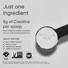Creatine monohydrate powder spoon with badges for Non-GMO and Gluten-Free
