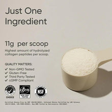 Collagen peptides powder in a scoop beside a 'Just One Ingredient' panel