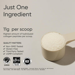 Sports Research scoop of grass-fed collagen peptides powder showing 11g per scoop and product texture