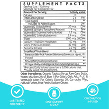 Hair vitamin gummy supplement facts panel with ingredients and daily values