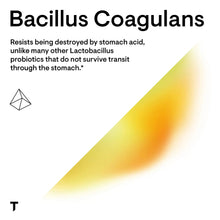 Bacillus coagulans probiotic information graphic with text about stomach acid resistance