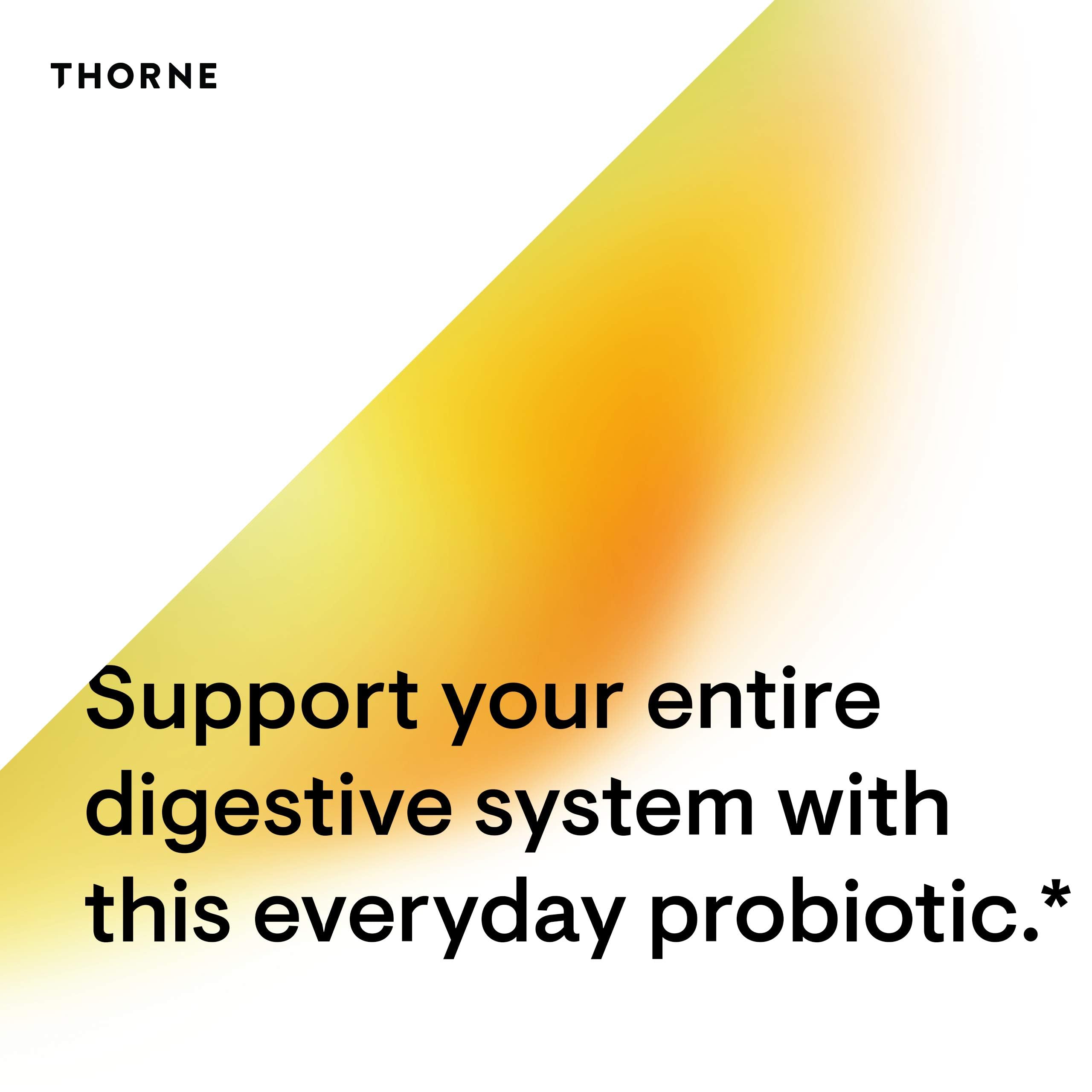 THORNE packaging graphic with yellow orange gradient and tagline supporting digestion Bacillus coagulans probiotic supplement UAE