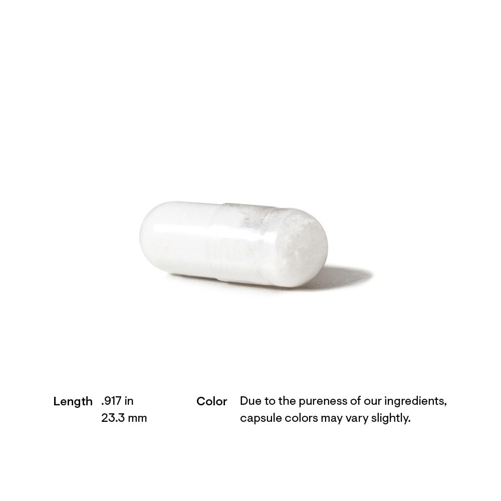 Thorne acetyl l carnitine 500mg buy online white supplement capsule on white background with size note