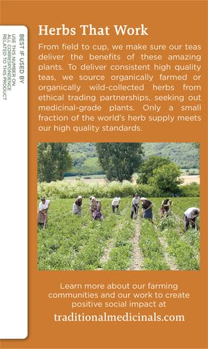 Traditional Medicinals box back panel with Herbs That Work text and farmers in a herb field photo herbal tea for bloating and gas
