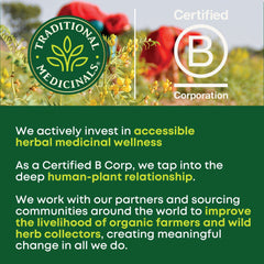 Traditional Medicinals nettle tea UAE banner showing brand logo Certified B Corp seal over herbal field and wellness