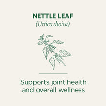 Nettle Leaf ingredient card stating supports joint health and overall wellness
