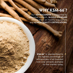 TRIBE ORGANICS ashwagandha powder bowl and root sticks with product info text Ashwagandha KSM-66 capsules UAE