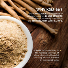 TRIBE ORGANICS ashwagandha powder bowl and root sticks with product info text Ashwagandha KSM-66 capsules UAE