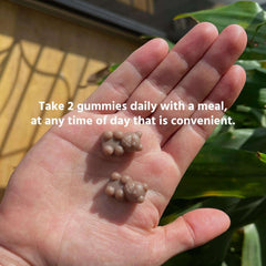 TruHeight height growth gummies for kids two brown bear gummies in an open palm with dosing instructions overlay