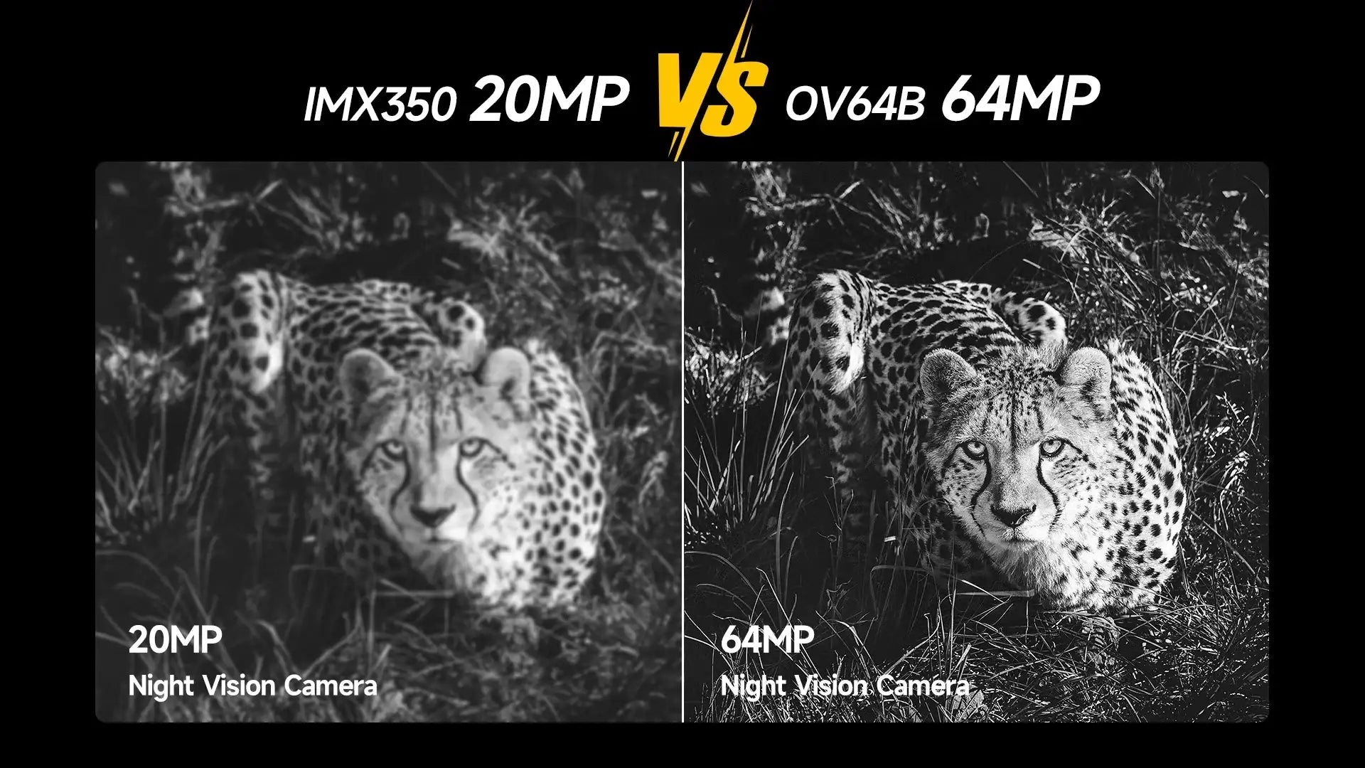 Ulefone Armor 22 rugged smartphone night vision camera comparison showing 20MP IMX350 vs 64MP OV64B cheetah image