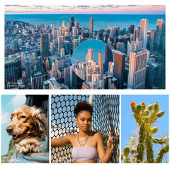 Ulefone Note 17 Pro smartphone photo samples collage showing city skyline with zoom and close ups of dog woman and cactus