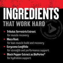 Ingredients panel for all-in-1 STAK, listing botanical extracts in red and white text