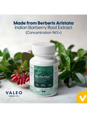 VALEO Berberine Capsules for Blood Sugar with Indian Barberry Root Extract in a bottle surrounded by greenery