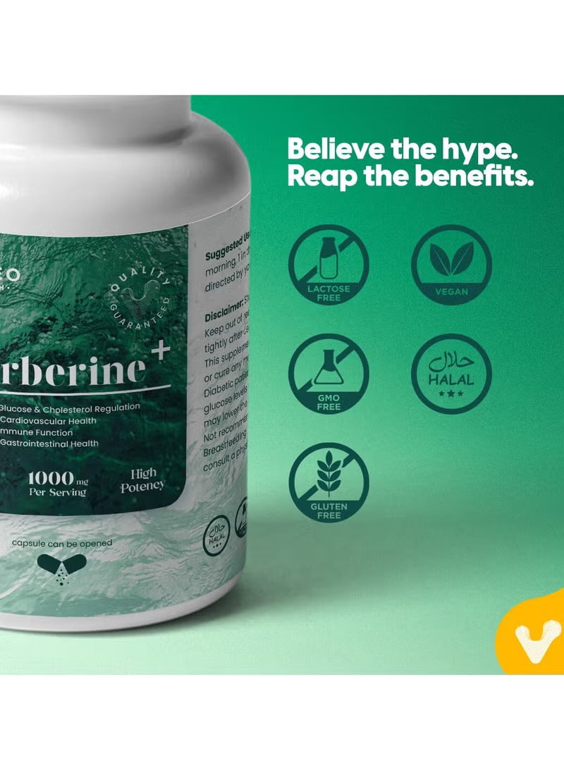VALEO Berberine Capsules for Blood Sugar with High Potency and Health Benefits