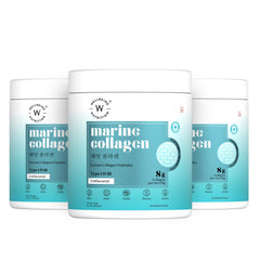Wellbeing Nutrition marine collagen tubs unflavored Type I III 8g per serving three jars Korean marine collagen powder UAE