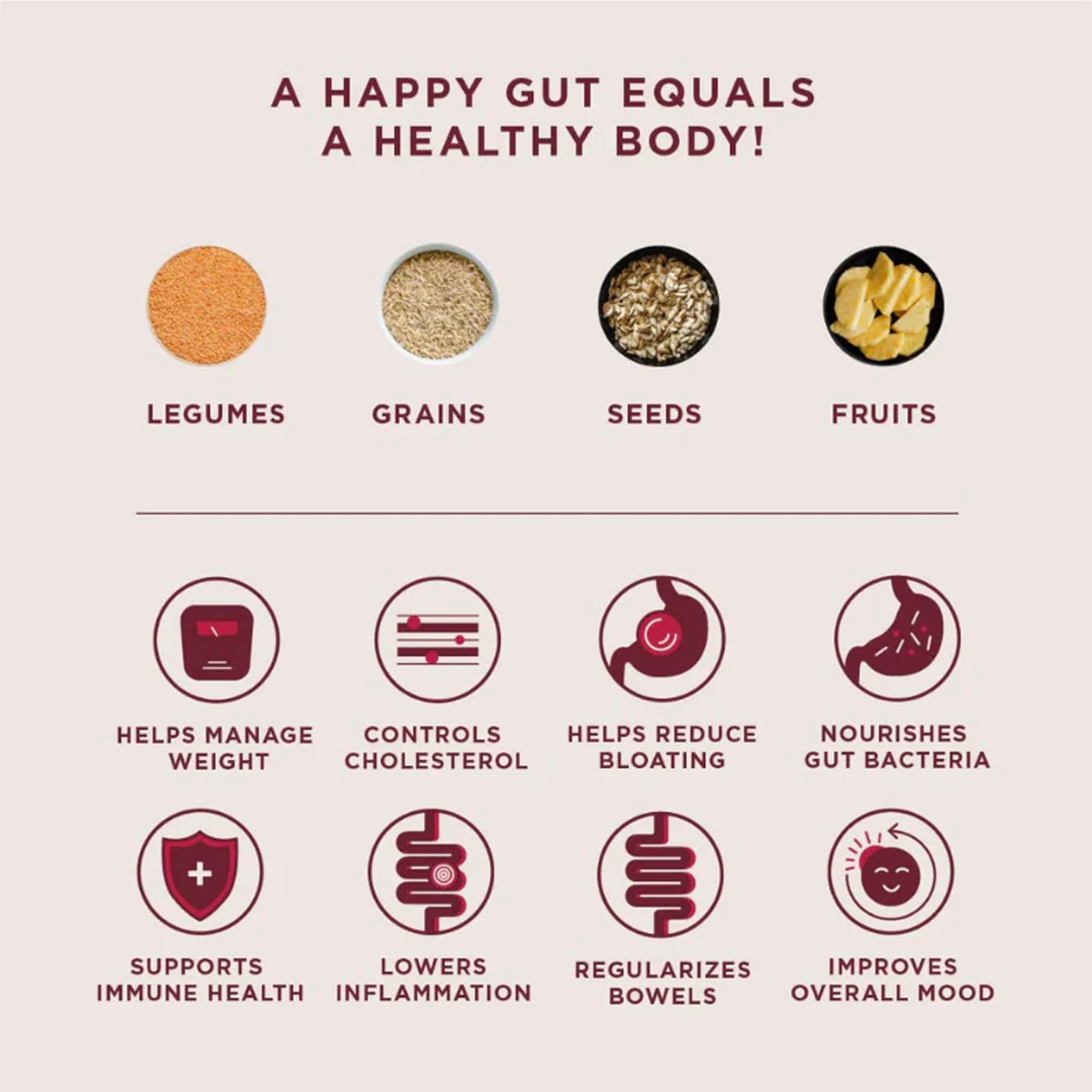 Infographic of legumes grains seeds and fruits listing gut health benefits of organic daily fiber powder