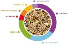 Canary seed mix ingredient chart with protein, amino acids, vitamins, minerals