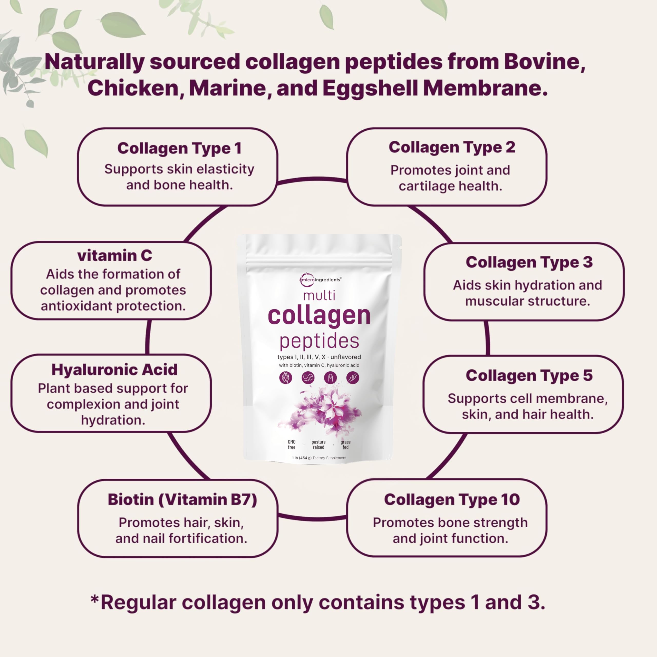 Micro Ingredients multi collagen peptides powder pouch with labels for collagen types 1 2 3 5 10 vitamin C biotin hyaluronic acid