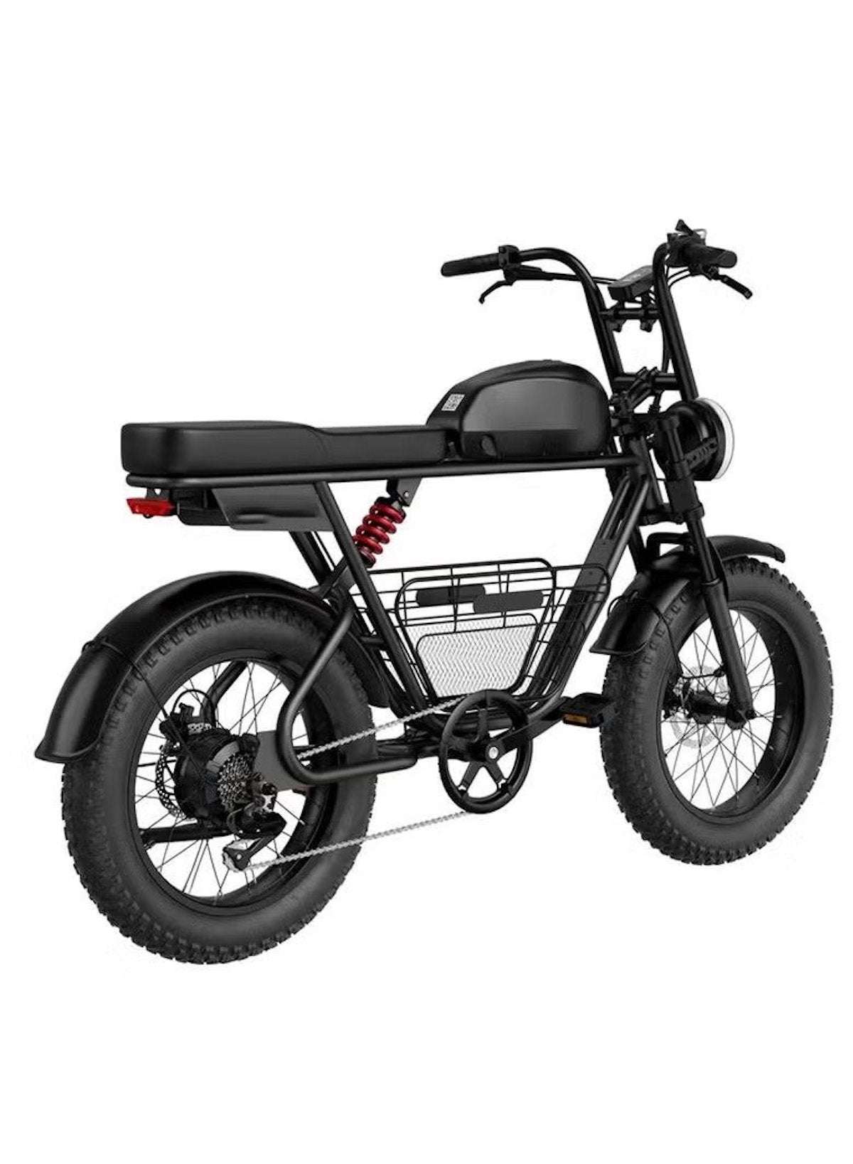 Electric Bike 1000W Motor Power, 48V 21AH Battery, 60 KM/H Max Speed, 20 Inches Fat Tires with Hydraulic Brakes and 80 KM Range in One Charge Off Road E-Bike