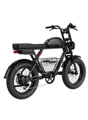 Electric Bike 1000W Motor Power, 48V 21AH Battery, 60 KM/H Max Speed, 20 Inches Fat Tires with Hydraulic Brakes and 80 KM Range in One Charge Off Road E-Bike