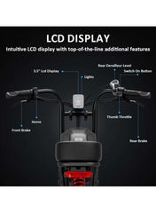 Electric Bike 1000W Motor Power, 48V 21AH Battery, 60 KM/H Max Speed, 20 Inches Fat Tires with Hydraulic Brakes and 80 KM Range in One Charge Off Road E-Bike