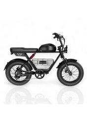 Electric Bike 1000W Motor Power, 48V 21AH Battery, 60 KM/H Max Speed, 20 Inches Fat Tires with Hydraulic Brakes and 80 KM Range in One Charge Off Road E-Bike
