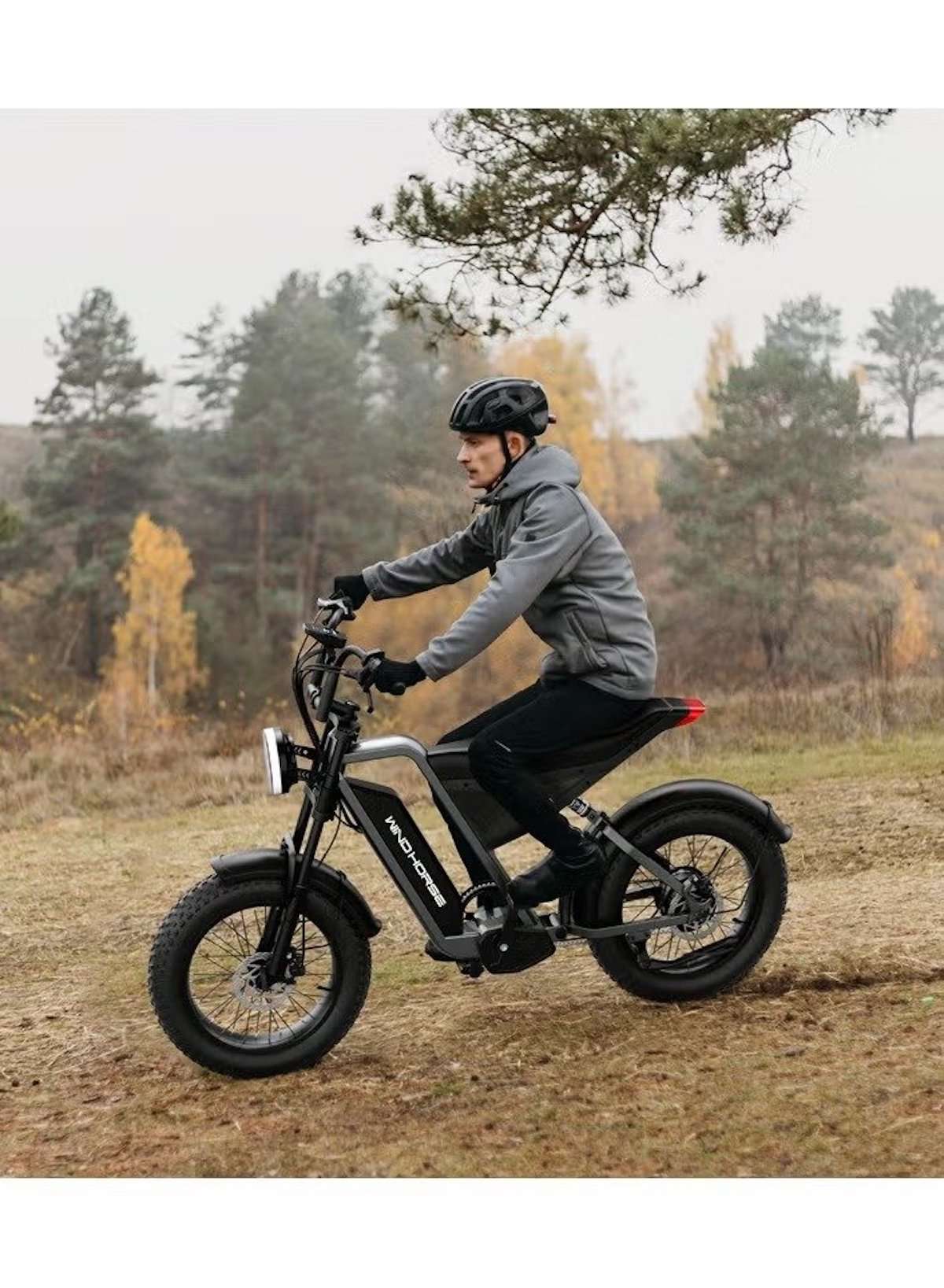 High Speed Electric Mountain Bike with 1000W Motor, 48V 18Ah Battery, 85km Range, 20 Inche Fat Tires, Dual Disk Brakes, Shimano 7 Speed, Front and Rear Suspension, Off Road E-Bike with Digital Display