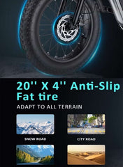 High Speed Electric Mountain Bike with 1000W Motor, 48V 18Ah Battery, 85km Range, 20 Inche Fat Tires, Dual Disk Brakes, Shimano 7 Speed, Front and Rear Suspension, Off Road E-Bike with Digital Display