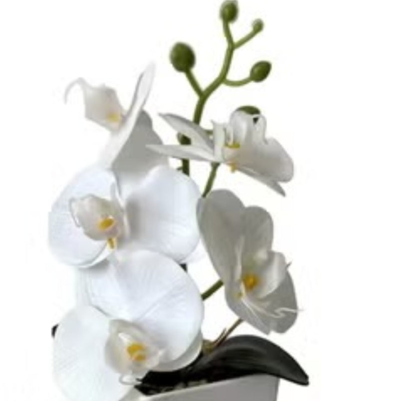 Huitich artificial white orchid bonsai for sale with realistic white flowers and green buds in a small pot