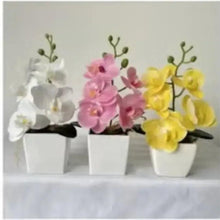 Artificial orchid bonsai set with pink, yellow, and white blooms in white pots