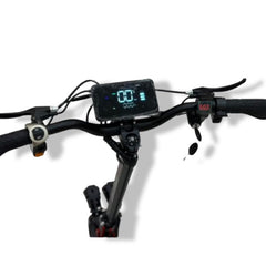 Handlebar view of Winner Sky electric scooter with digital display and controls showing Winner Sky Scooter Motor 2000