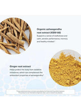 Ashwagandha root extract and ginger root extract labeled with plant powders